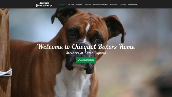 Chiequolboxershome.com - Boxer Puppy Scam Review