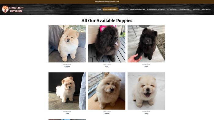 Chowchowpuphome.com - Chowchow Puppy Scam Review