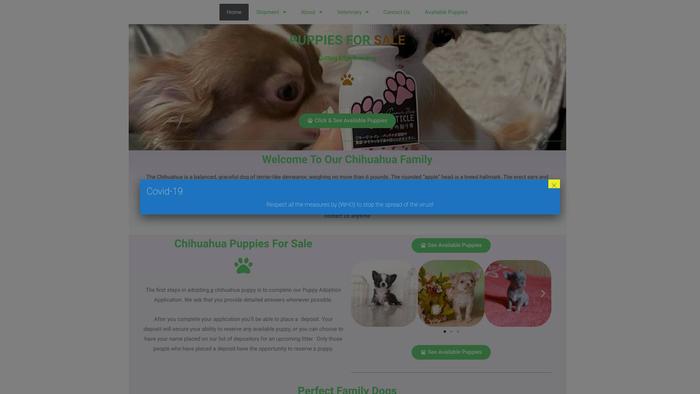 Chrischihuahua.dog - Chihuahua Puppy Scam Review