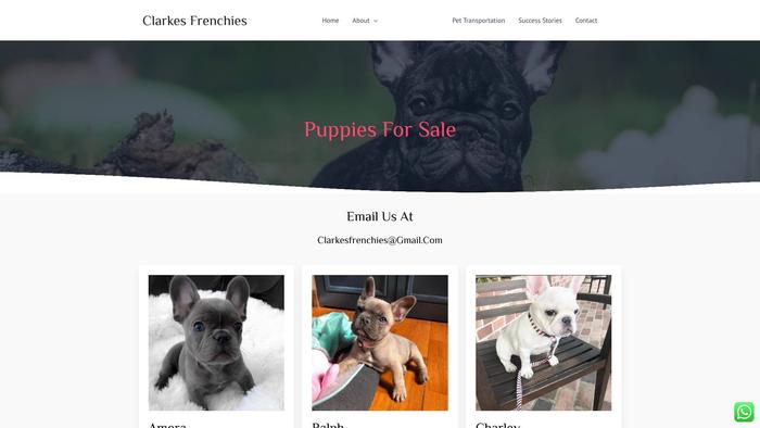 Clarkesfrenchies.com - French Bulldog Puppy Scam Review