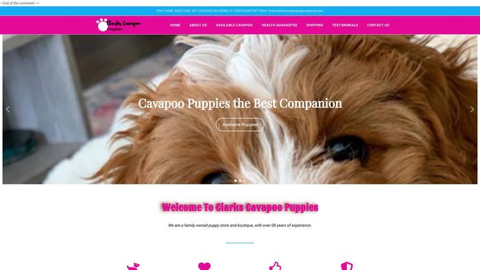 Clarkscavapoopuppies.com - Cavapoo Puppy Scam Review