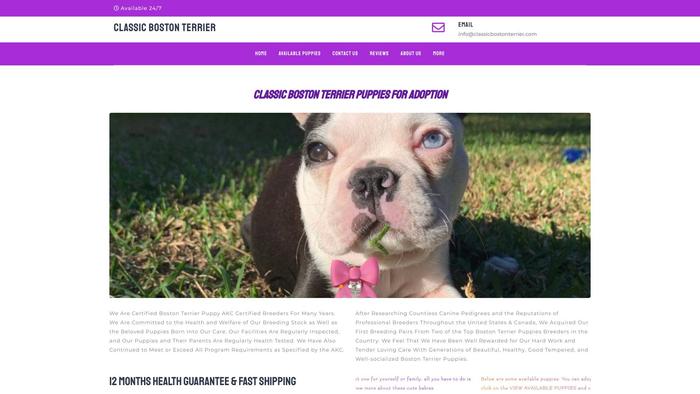 Classicbostonterrier.com - Boston Terrier Puppy Scam Review