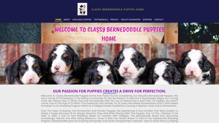 Classybernedoodlepuppies.com - Bernedoodle Puppy Scam Review