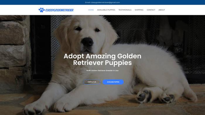 Classygoldenretriever.com - Golden Retriever Puppy Scam Review