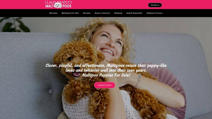 Claudbradleymaltipoos.com - Maltipoo Puppy Scam Review