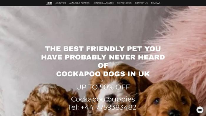 Cockapoopuppieshomes.com - Cockapoo Puppy Scam Review