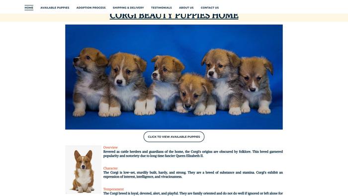 Corgipuppybeautyhome.com - Corgi Puppy Scam Review