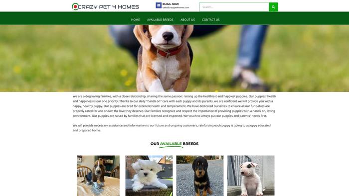 Crazypet4homes.com - Bassethound Puppy Scam Review