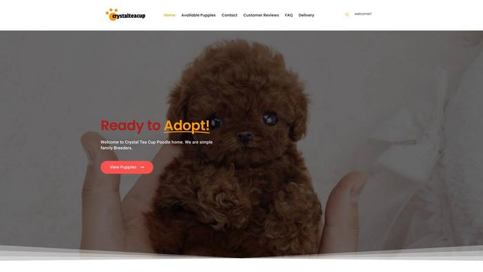 Crystalteacuppoodle.com - Poodle Puppy Scam Review