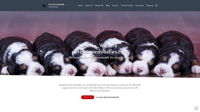 Cutebernedoodle.com - Bernedoodle Puppy Scam Review