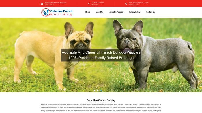 Cutebluefrenchbulldog.com - French Bulldog Puppy Scam Review