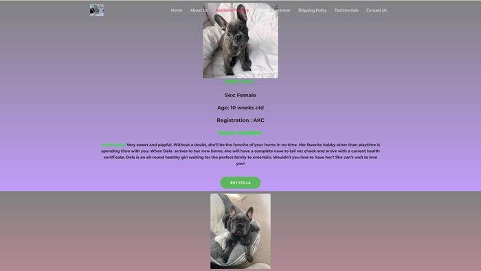 Cutefrenchiesfamilyhome.com - English Bulldog Puppy Scam Review