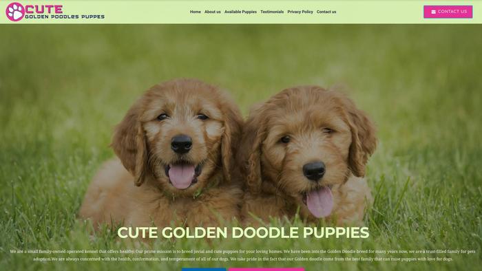 Cutegoldendoodlepuppieshome.com - Golden Doodle Puppy Scam Review