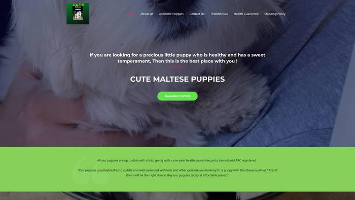 Cutemaltesepuppiesforsale.com - Maltese Puppy Scam Review