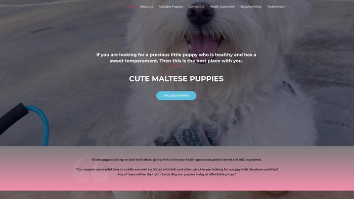 Cutemaltesepuppieshome.com - Maltese Puppy Scam Review