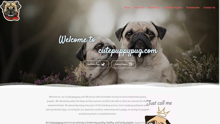 Cutepuppypug.com - Pug Puppy Scam Review