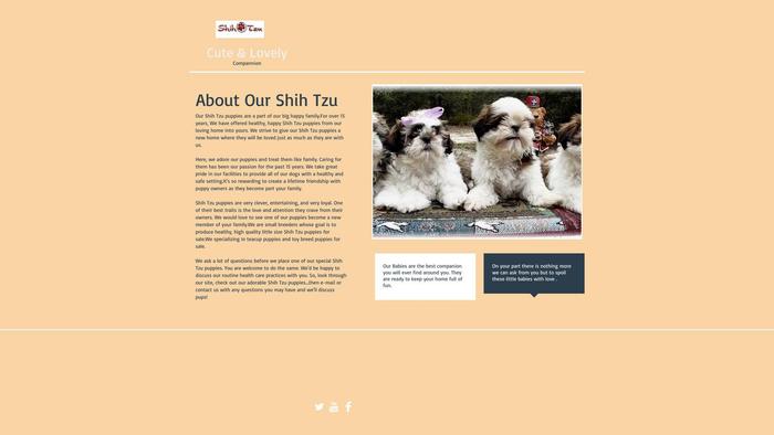 Cuteshihtzupuppys.online - Shihtzu Puppy Scam Review