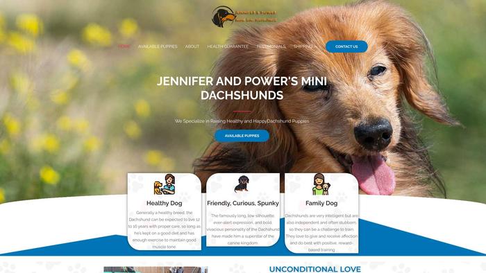 Dachchundhealthypupshome.com - Dachshund Puppy Scam Review