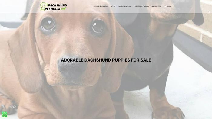 Dachshundpethouse.com - Dachshund Puppy Scam Review