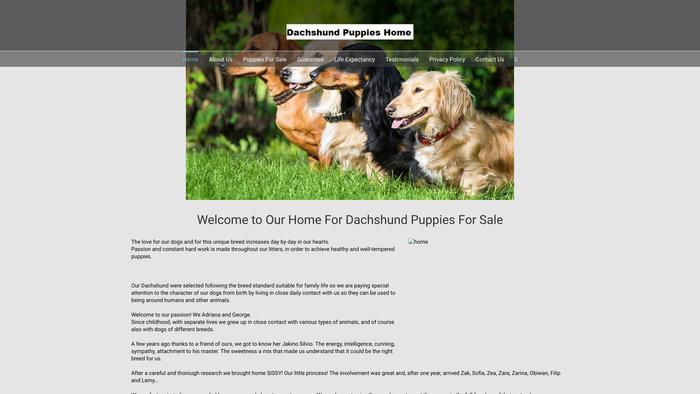 Dachshundpuppies.biz - Dachshund Puppy Scam Review