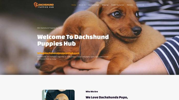 Dachshundpuppieshub.com - Dachshund Puppy Scam Review