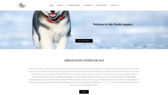 Dalehuskiepuppies.com - Husky Puppy Scam Review