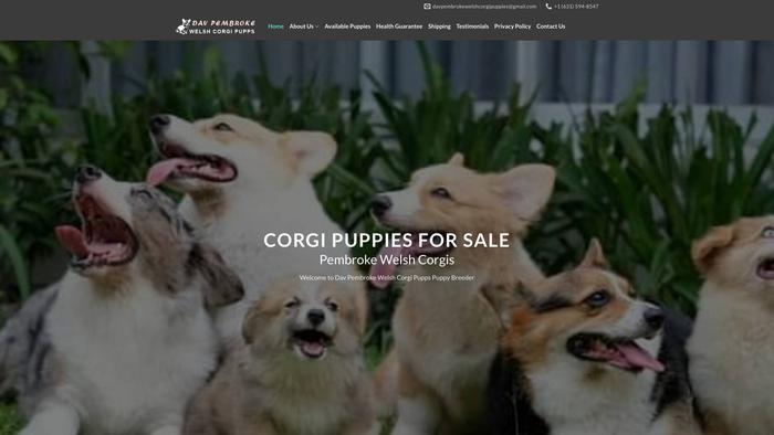 Davpembrokewelshcorgipupps.com - Corgi Puppy Scam Review