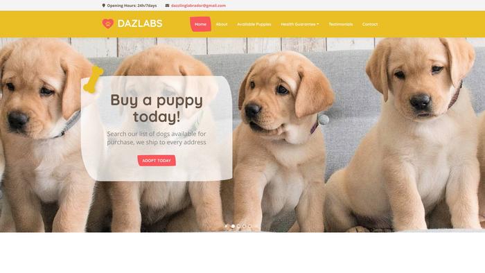 Dazzlinglabrador.com - Golden Retriever Puppy Scam Review