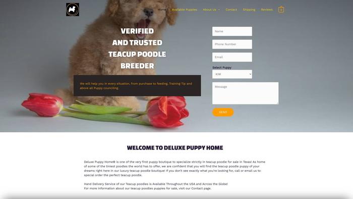 Deluxepuppyhome.com - Maltipoo Puppy Scam Review