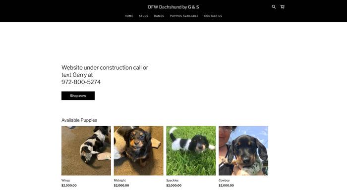 Dfwdoxies.com - Dachshund Puppy Scam Review