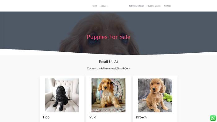 Dominioncockers.com - Cockerspaniel Puppy Scam Review