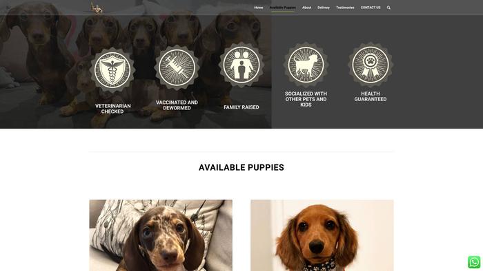 Dominiondachshundpuppies.com - Dachshund Puppy Scam Review