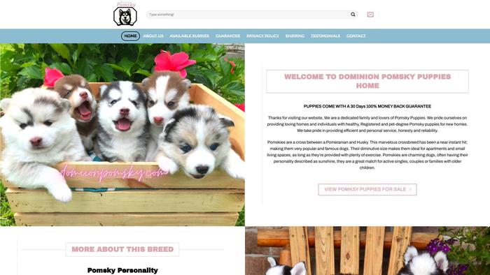 Dominionpomsky.com - Husky Puppy Scam Review