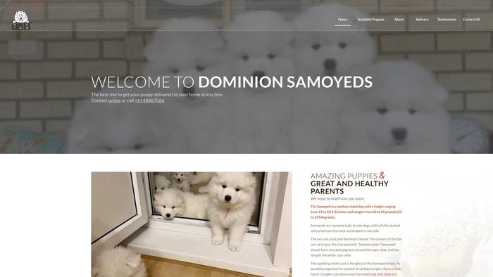 Dominionsamoyeds.online - Samoyed Puppy Scam Review