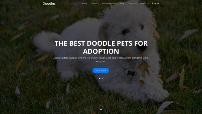 Doodlesforadoption.com - Labradoodle Puppy Scam Review