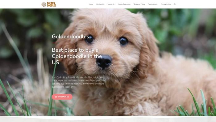 Doodleshaven.com - Labradoodle Puppy Scam Review