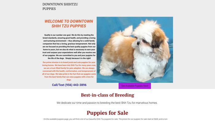 Downtownshihtzupupps.com - Shihtzu Puppy Scam Review