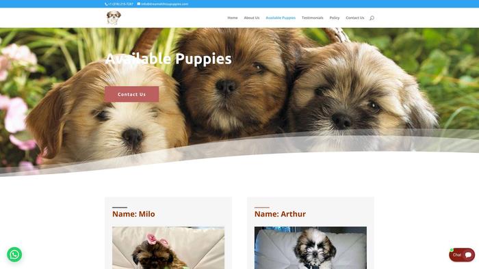 Dreamshihtzupuppies.com - Shihtzu Puppy Scam Review