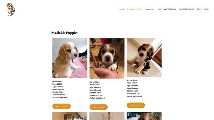 Durablebeaglepuppies.com - Beagle Puppy Scam Review