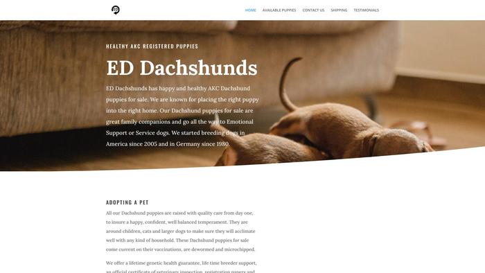 Eddachshundpups.com - Dachshund Puppy Scam Review