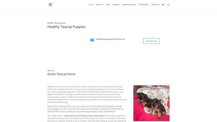 Elainepomeranianhome.com - Pomeranian Puppy Scam Review