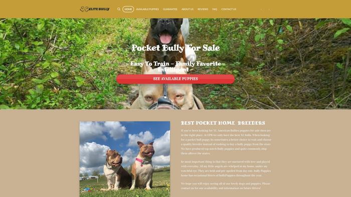 Elitepocketbully.com - French Bulldog Puppy Scam Review