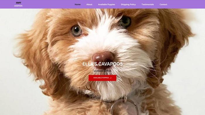 Ellascavapoos.com - Cavapoo Puppy Scam Review