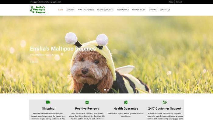 Emiliamaltipoopuppies.com - Maltipoo Puppy Scam Review