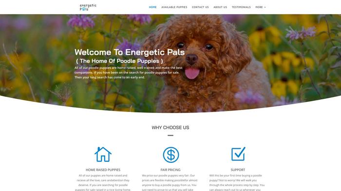 Energeticpals.com - Poodle Puppy Scam Review