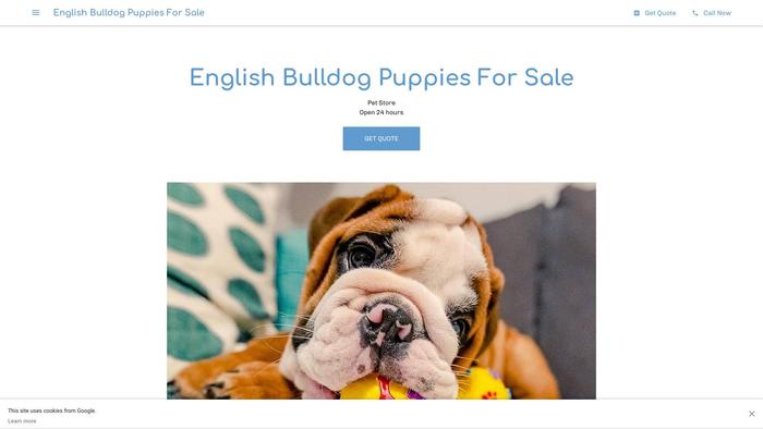 Englishbulldogpuppiesforsales.com - English Bulldog Puppy Scam Review