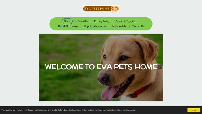 Evapetshome.com - Labrador Puppy Scam Review