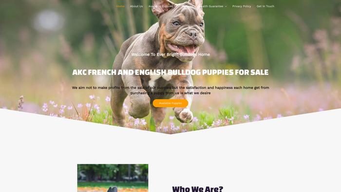 Everbrightbulldogs.com - Bulldog Puppy Scam Review