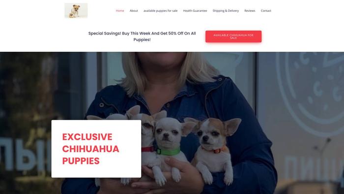 Exclusivechihuahuas.com - Chihuahua Puppy Scam Review