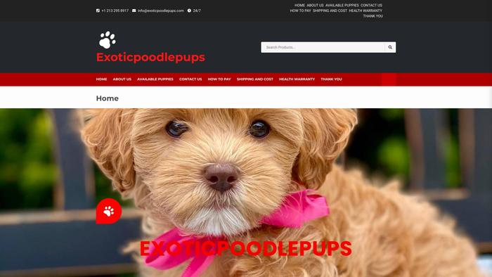 Exoticpoodlepups.com - Poodle Puppy Scam Review